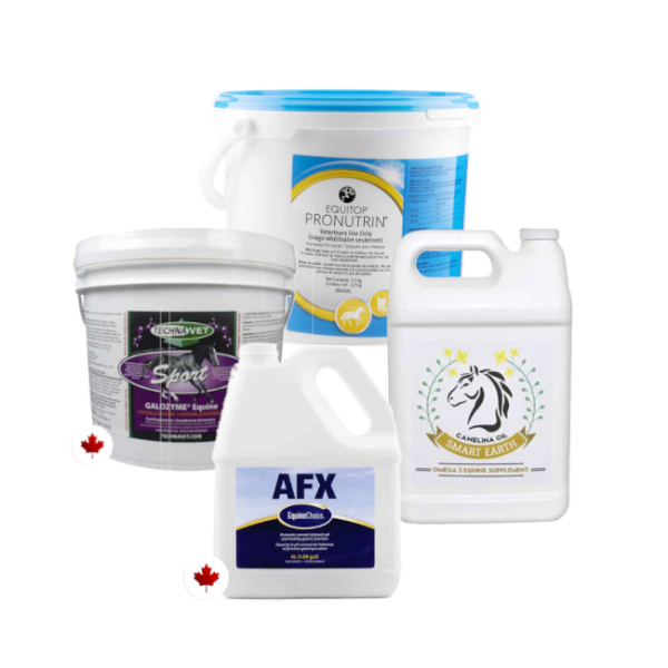 Picture for category Equine Digestive/Ulcer Health Supplements & Probiotics
